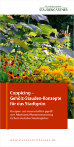 Die neue Broschüre des BdS (Ausschnitt)