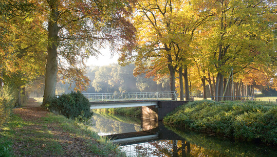 Eine Zufahrtsbrcke fhrt ber die Issel in das Arboretum. Der Weg fhrt durch eine etwa 100-jhrige Rot-Eichen-Allee (Quercus rubra).