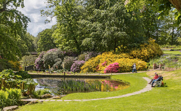 Rhododendronsammlung am Ufer des groen formalen Schlossteiches