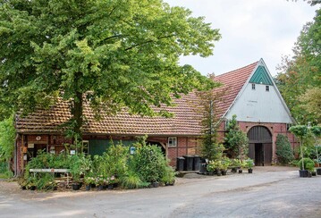 Ralf Upmann setzt den Schwerpunktin seiner Baumschule auf eine nachhaltige, umweltfreundliche Freilandkultur.