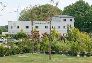Das neueste Projekt in Elstra heit Mammutgarten. Das Brogeb.ude ist Sitz der Firma, beherbergt einen Bioladen und ist Eingang in einen sieben Hektar groen Event-Garten, der Bume aus aller Welt zeigt.