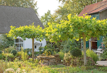 Den alten Reitplatz und die Pferdewiesen am elterlichen ehemaligen Bauernhaus verwandelte Lars Bublitz in eine Grtnerei mit Ausstellflchen fr Stauden. Das kleinrumige Gelnde ist durch Trockenmauern, Sitzpltze und Schaubeete gegliedert.