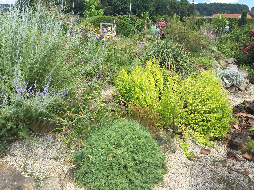 Kiesbeete mit mediterranen Pflanzen unterdrücken Unkrautwuchs.