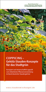 Neue Broschüre des BdS