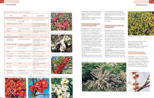 Geh�lze von A � Z. Andreas B�rtels. 3., akt. Aufl. 288 S., 800 Farbf., 23 farbige Zeichn., 102 Tab., Hardcover, 35 � (E-Book 27,99 �). Verlag Eugen Ulmer, Stuttgart, 2023. ISBN 978-3-8186-1754-7