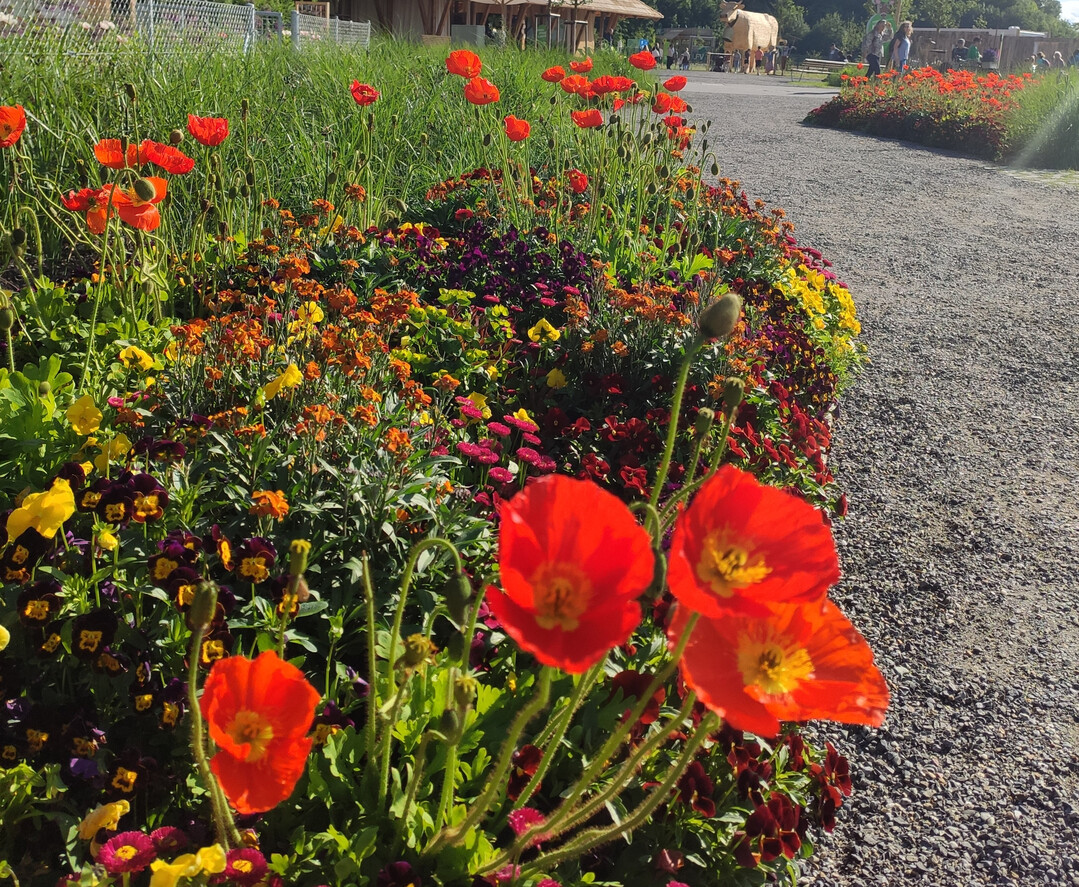 Bei der Beetgestaltung kommt es sowohl auf die Beetform als auch die Bepflanzung an.