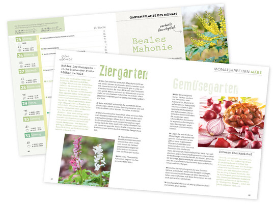 Ulmers Gartenkalender 2024