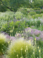 Lieblingsbeet im Hermannshof