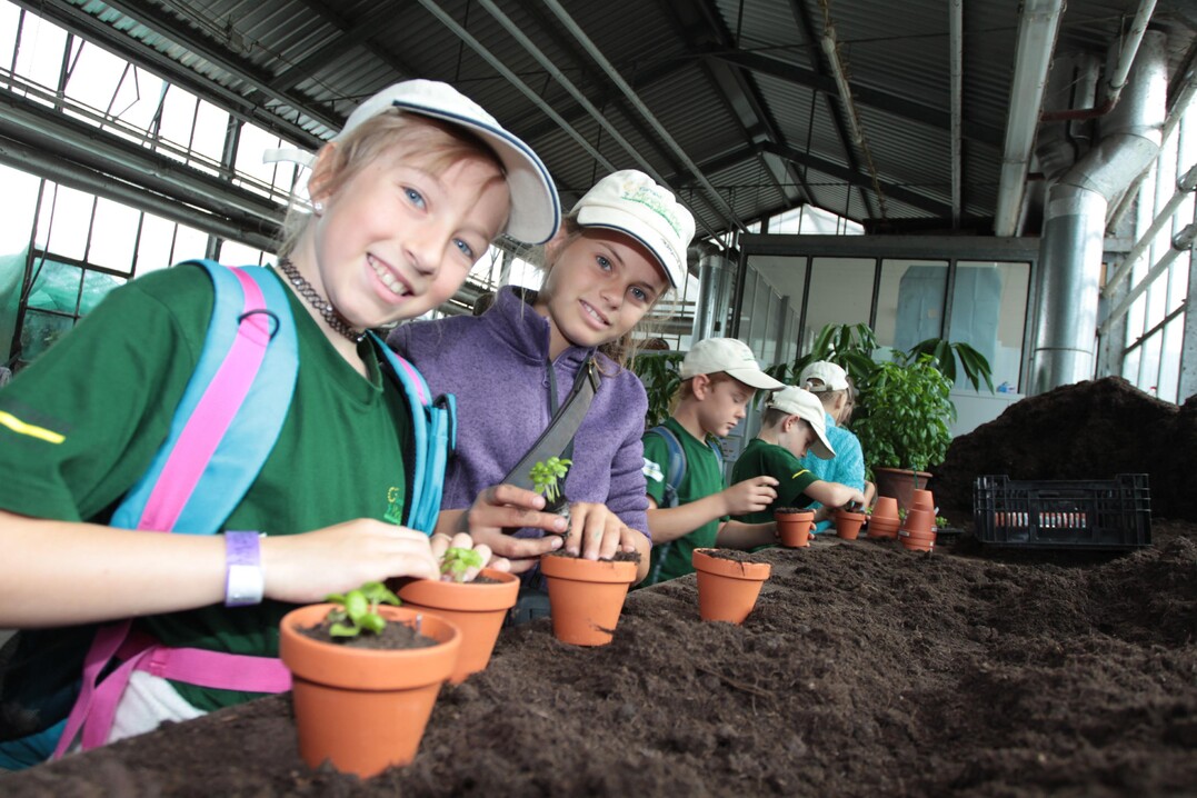 Die Minigrtnerinnen Sara Frensch (links) und Franziska Urban aus Villingen topfen Basilikum