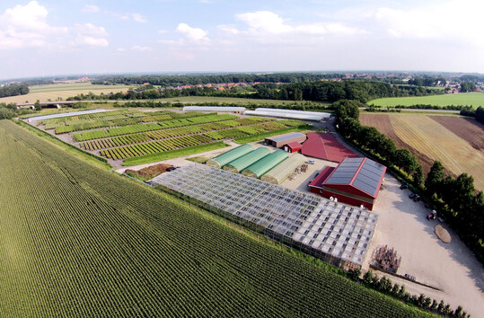 Bei Geers gibt es alles in Bioland-Qualitt: Auf zirka 30 ha werden in Bersenbrck Obstbume von Hochstamm bisMini-Stamm sowie Beerenstrucher, aber auch Bodendeckerrosen produziert.