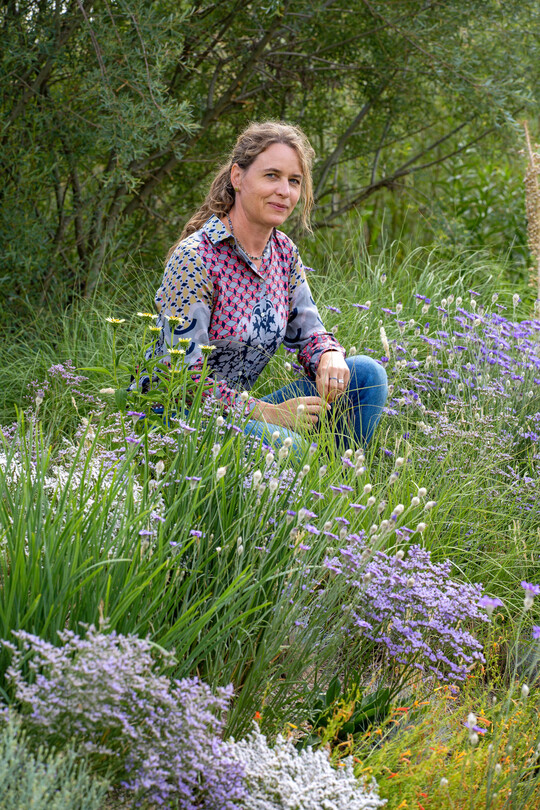 Fine Molz von Der Staudeng�rtnerei