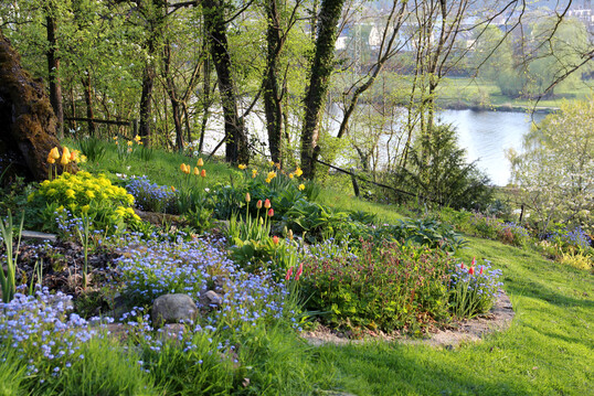 Frhlingsgarten mit Blick durch die Bume auf die Ruhr