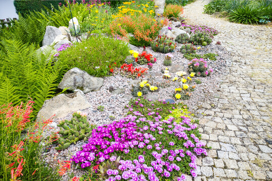Rabatte mit Kakteen, Yucca, Agaven, Penstemon und Mittagsblumen seit mehr als 15 Jahren im Garten des Autors. Ein Fest für blütenbesuchende Insekten!