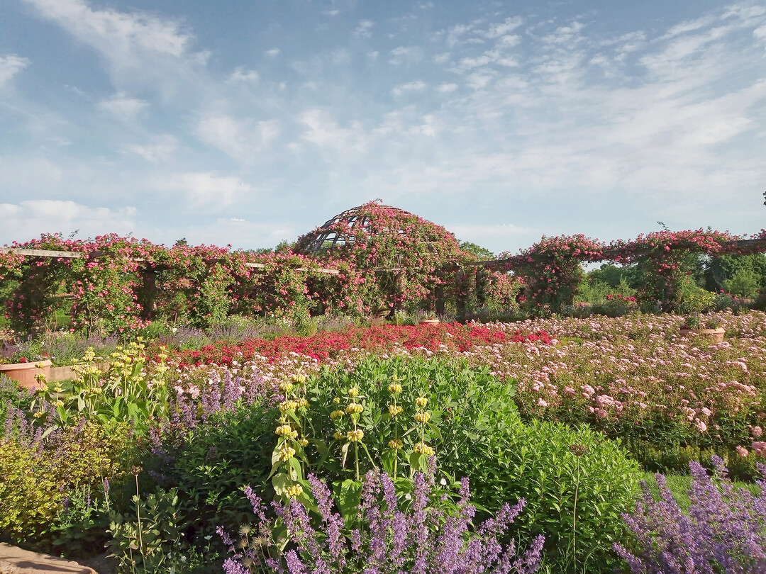 Der Park Rosenhöhe in Darmstadt wurde nachhaltig und denkmalgerecht saniert.