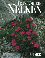 Nelken