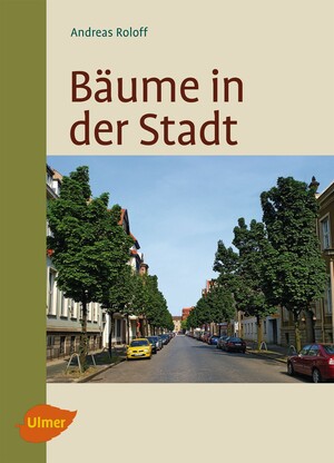 Bume in der Stadt