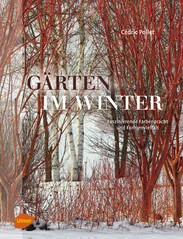G�rten im Winter