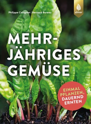 Mehrjhriges Gemse