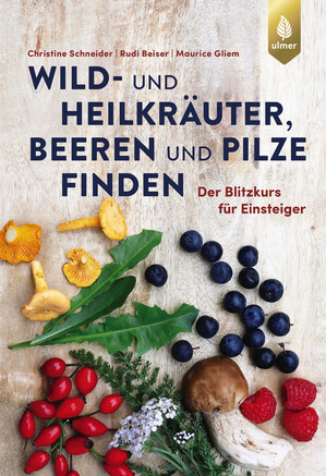 Wild- und Heilkruter, Beeren und Pilze finden