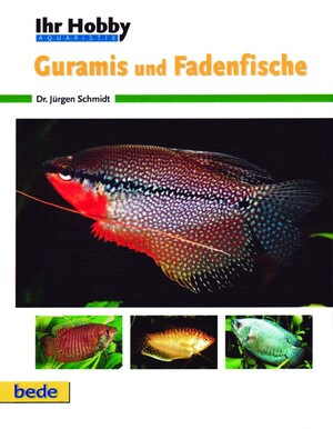 Ihr Hobby Guramis und Fadenfische
