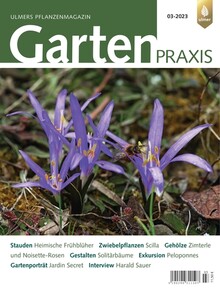 Cover Gartenpraxis 03/2023