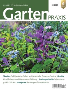 Cover Gartenpraxis 04/2023