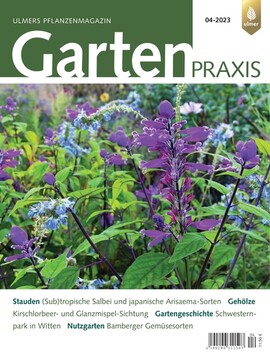 Cover Gartenpraxis 04/2023