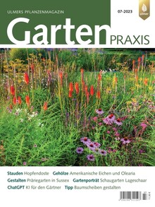 Cover Gartenpraxis 07/2023