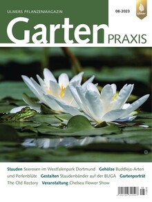 Cover Gartenpraxis 08/2023