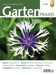 Cover Gartenpraxis 12/2023