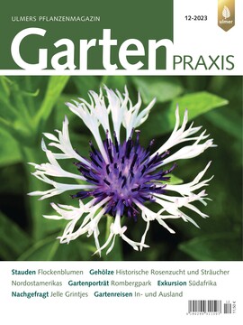 Cover Gartenpraxis 12/2023