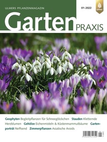 Cover Gartenpraxis 01/2022
