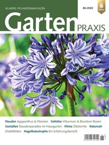 Cover Gartenpraxis 06/2022