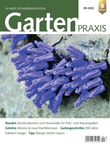 Cover Gartenpraxis 09/2022