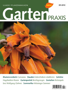Cover Gartenpraxis 09/2012