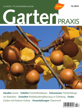 Cover Gartenpraxis 12/2012