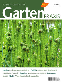 Cover Gartenpraxis 02/2013