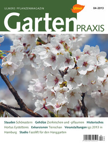 Cover Gartenpraxis 04/2013