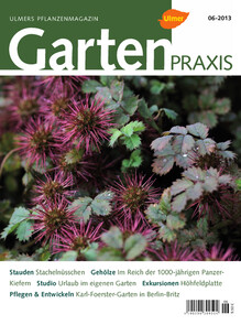 Cover Gartenpraxis 06/2013