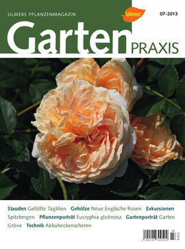 Cover Gartenpraxis 07/2013