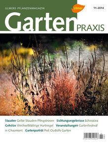 Cover Gartenpraxis 11/2014