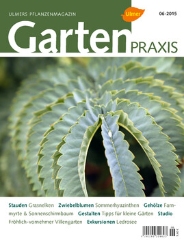 Cover Gartenpraxis 06/2015