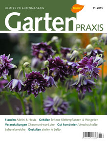 Cover Gartenpraxis 11/2015