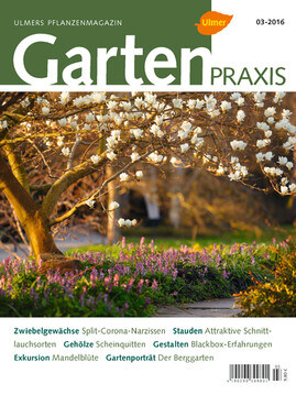 Cover Gartenpraxis 03/2016