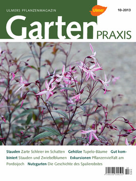 Cover Gartenpraxis 10/2013