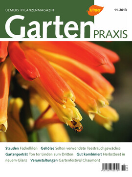 Cover Gartenpraxis 11/2013