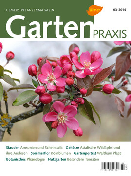 Cover Gartenpraxis 03/2014