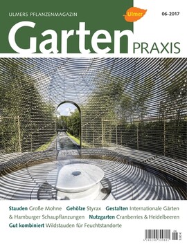 Cover Gartenpraxis 06/2017