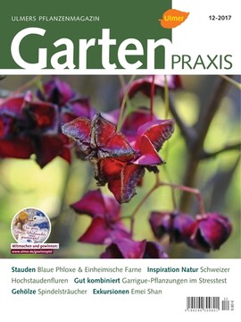 Cover Gartenpraxis 12/2017