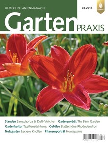 Cover Gartenpraxis 03/2018